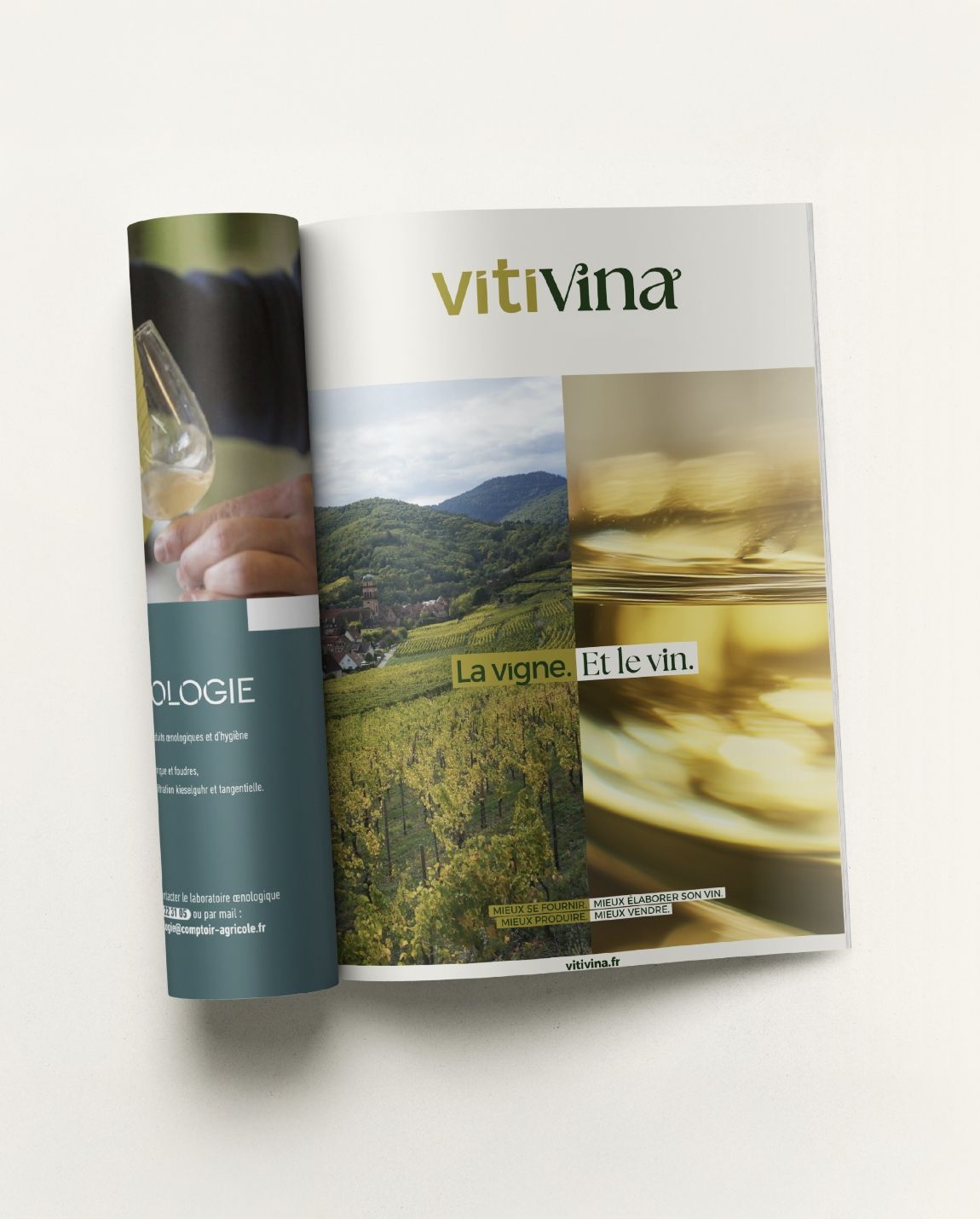 Brochure partiellement enroulée, présentant le logo Vitivina, un paysage, du vin et du texte sur fond blanc.