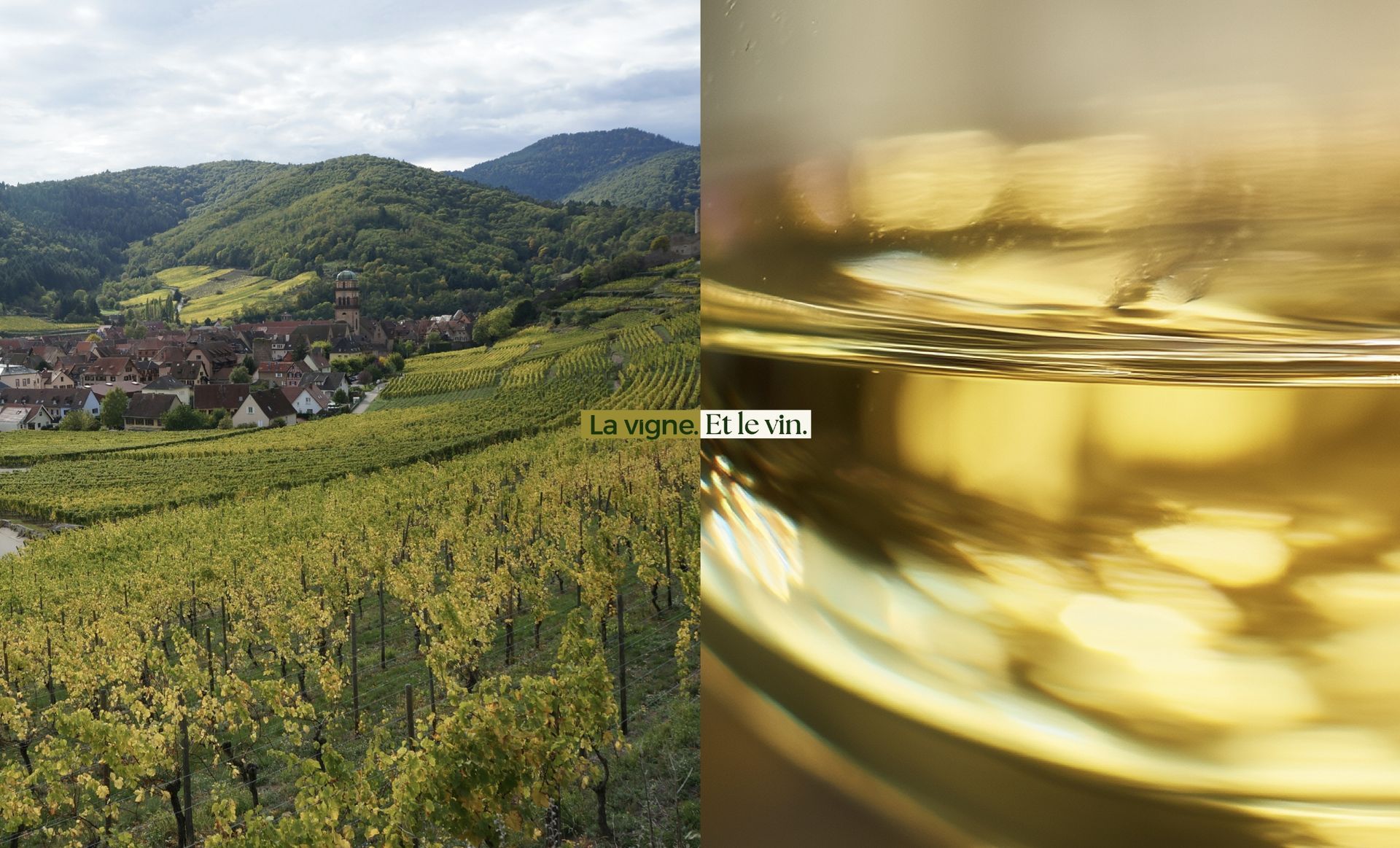 À gauche : Vignoble avec village niché dans les collines. À droite : Gros plan sur un verre doré.