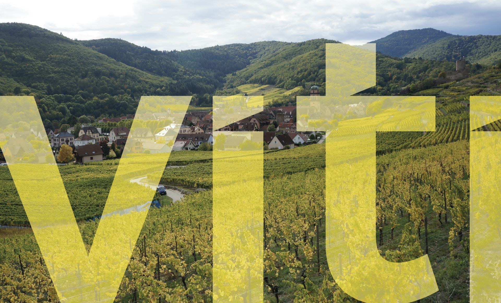 Vignobles avec texte en surimpression, petit village et collines boisées sous un ciel nuageux.