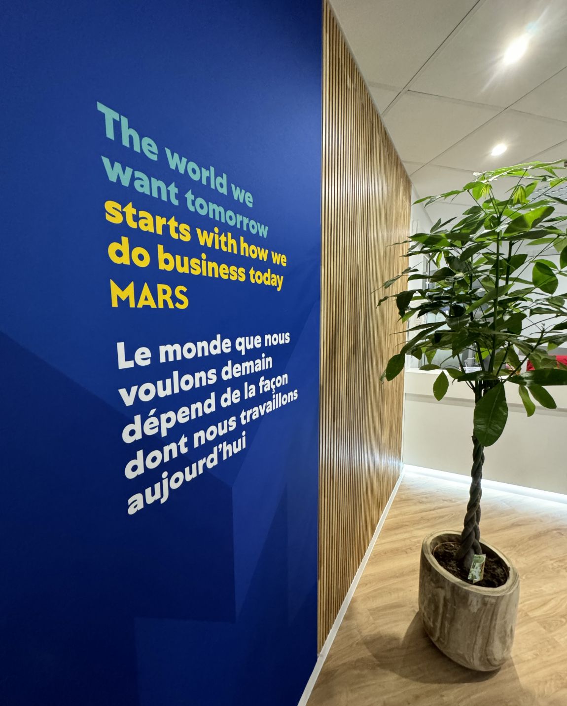 Mur bleu avec citation de motivation en anglais et en français, à côté d'un mur en panneaux de bois et d'une plante en pot.