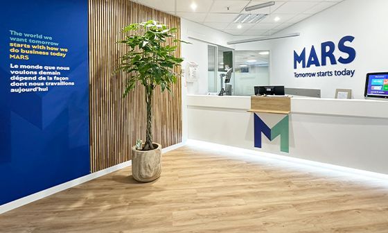 Espace de réception du bureau MARS avec logo, plante, boiseries, murs bleus et blancs et comptoir.