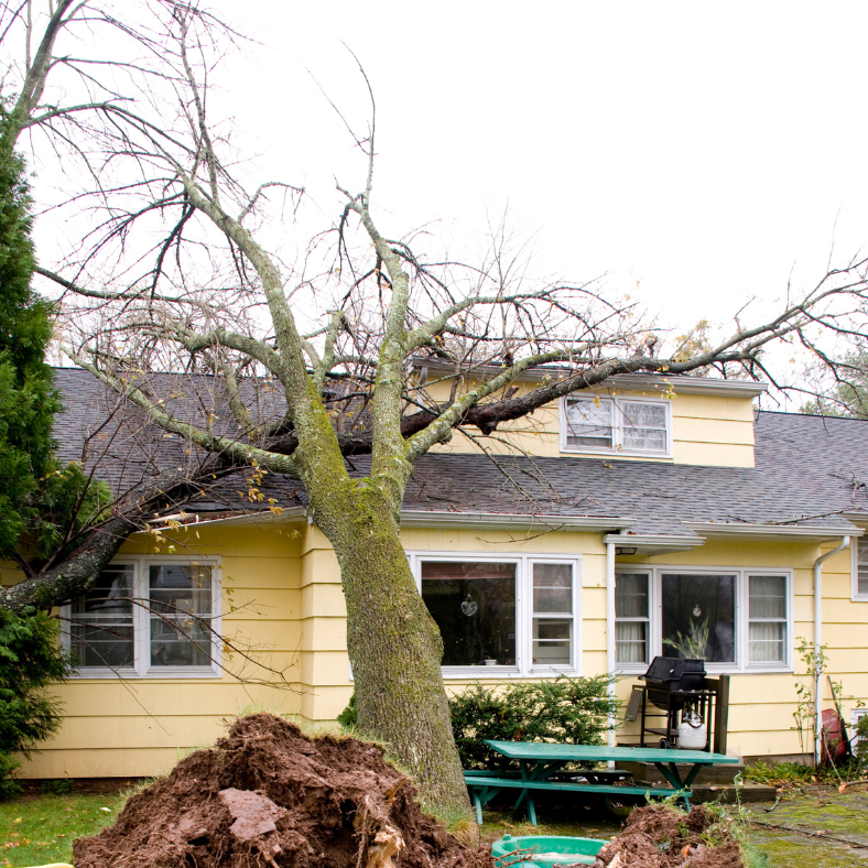 We're in the market for homes that have roof damage, foundation issues, or significant structural problems.