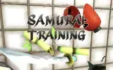 Samurai Training