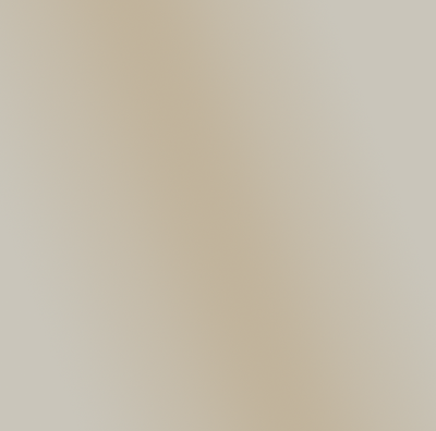 Matte Nickel TAG Hardware Swatch Option