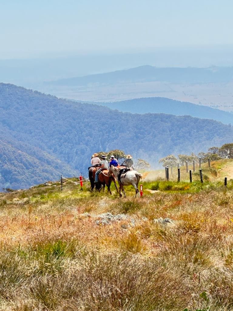 Imagine Getting Married on horseback in the High Country of Victoria with celebrant Cheryl Warry