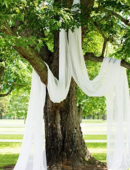 Feedback for Celebrant Services in Wangaratta