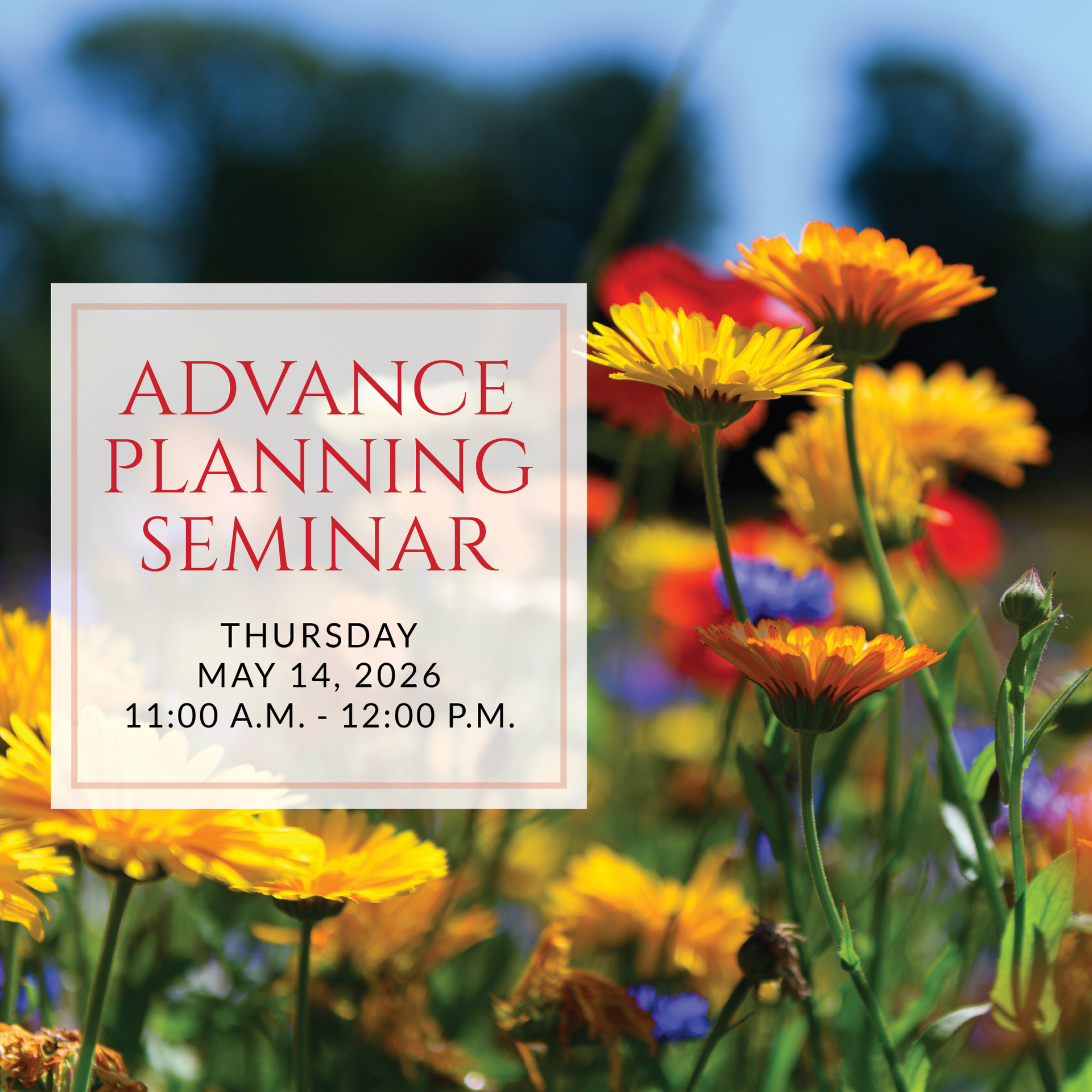 an advertisement for lunch and learn on friday may 12th