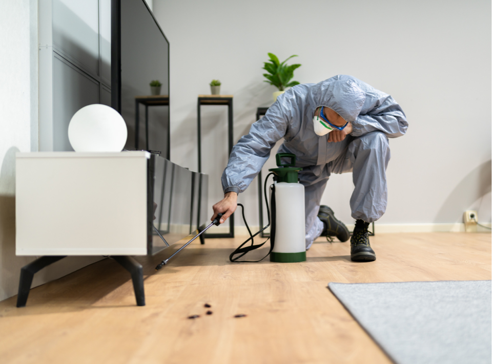 Rodent control worker in gray coveralls sprays along a wall in a modern room next to a white cabinet in Columbus Ohio