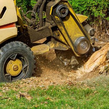 Stump Removal — Decatur, Alabama — Mr. Green Jeans Lawn Service & Tree Service LLC
