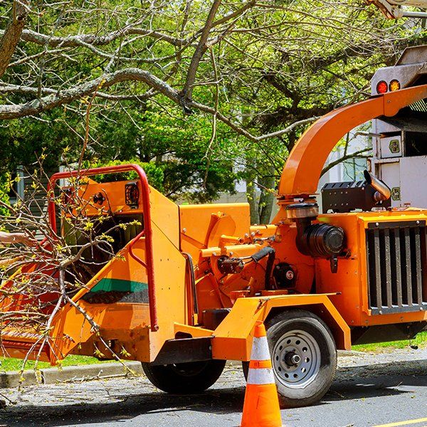 Wood Chipper Tree Branches — Decatur, Alabama — Mr. Green Jeans Lawn Service & Tree Service LLC