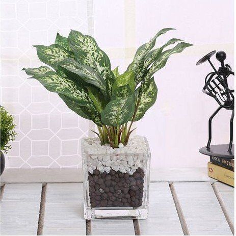 ceramic planters
