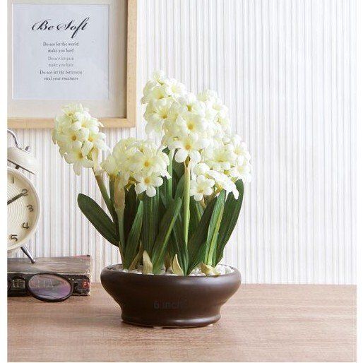 ceramic flower pots