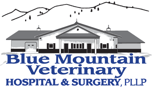 Blue Mountain Veterinary Hospital & Surgery PLLC