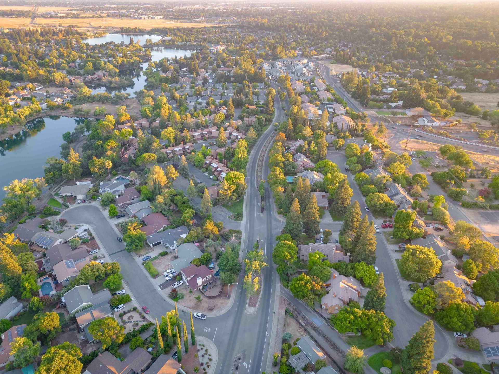 A garage filled with lots of junk and flowers.