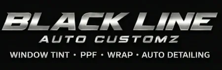 Southside Mobile Detail & Tint - window tinting services.