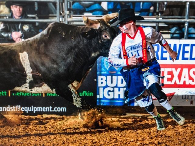 Bull rider running from a charging bull in a rodeo arena. Clown in costume, dirt flying.