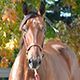 irp.cdn-website.com/f6c0861e/dms3rep/multi/Gilcrest---173.jpg