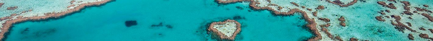 australia reef banner