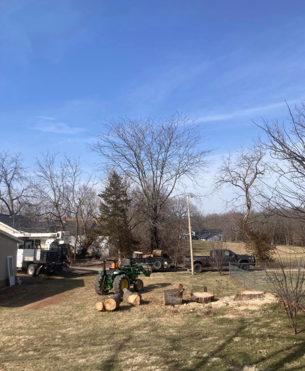 A tractor is cutting down a tree in a yard.