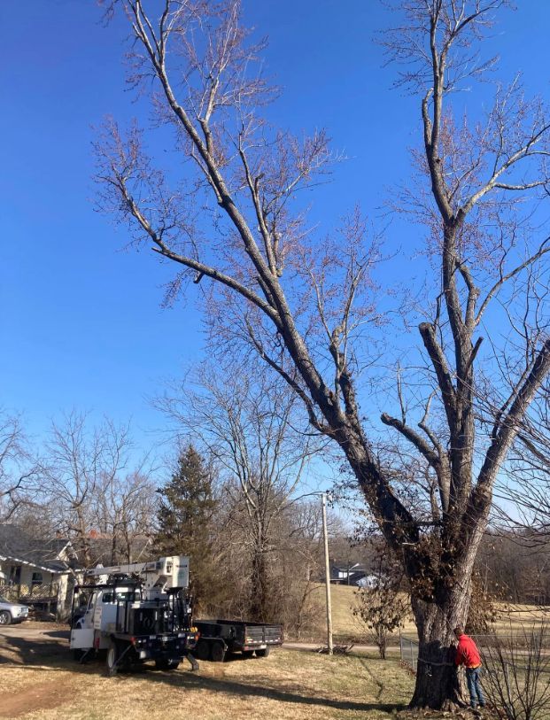 A man is standing next to a tree with a crane in the background.