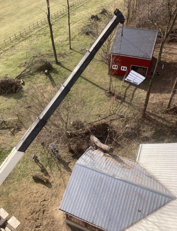 An aerial view of a crane lifting a tree from the roof of a building.
