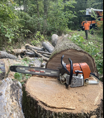 A chainsaw is sitting on top of a tree stump.