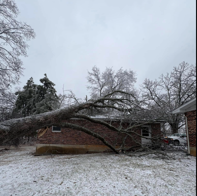A tree has fallen on a brick house in the snow.