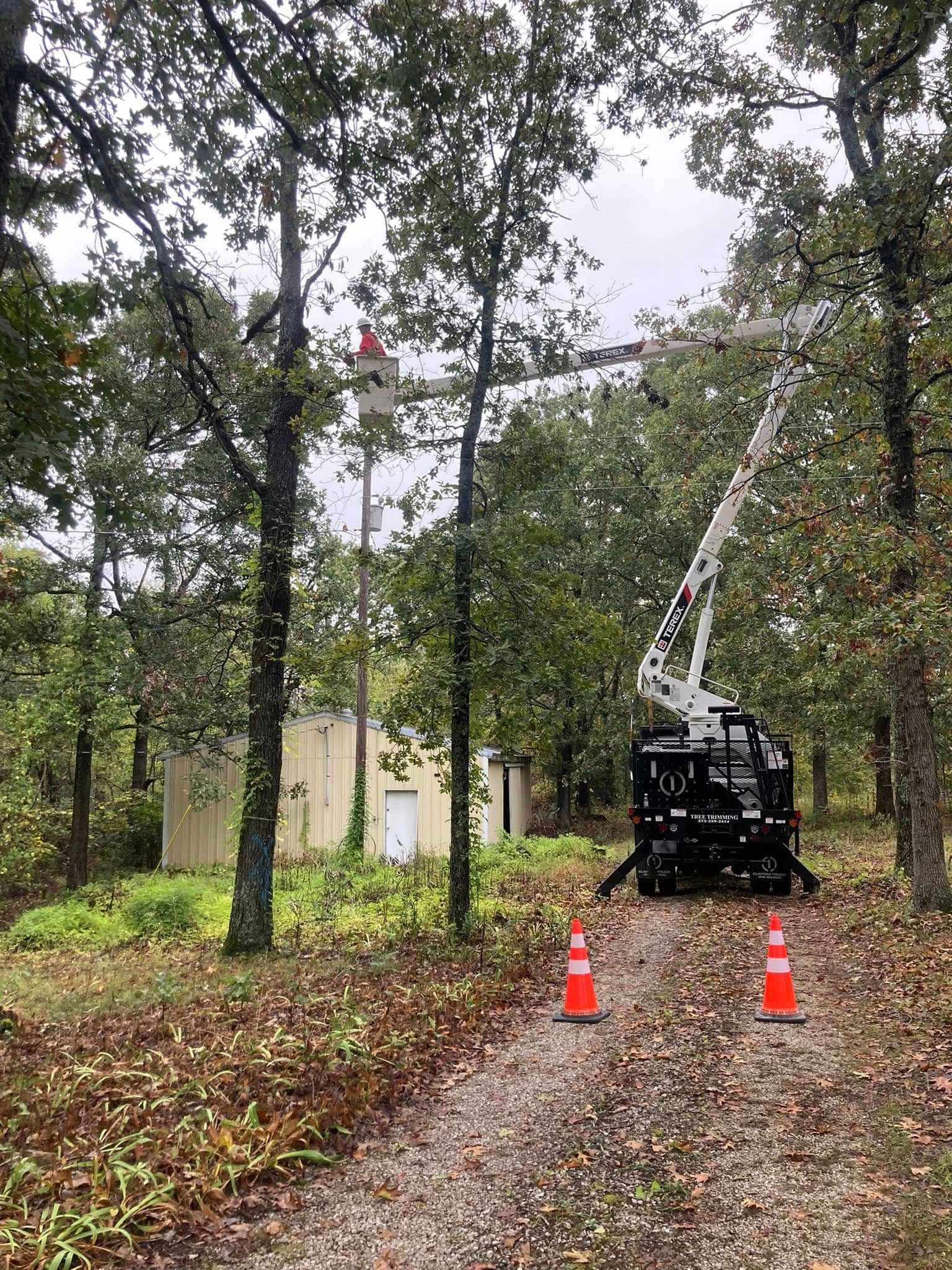 A crane is cutting a tree in the woods.