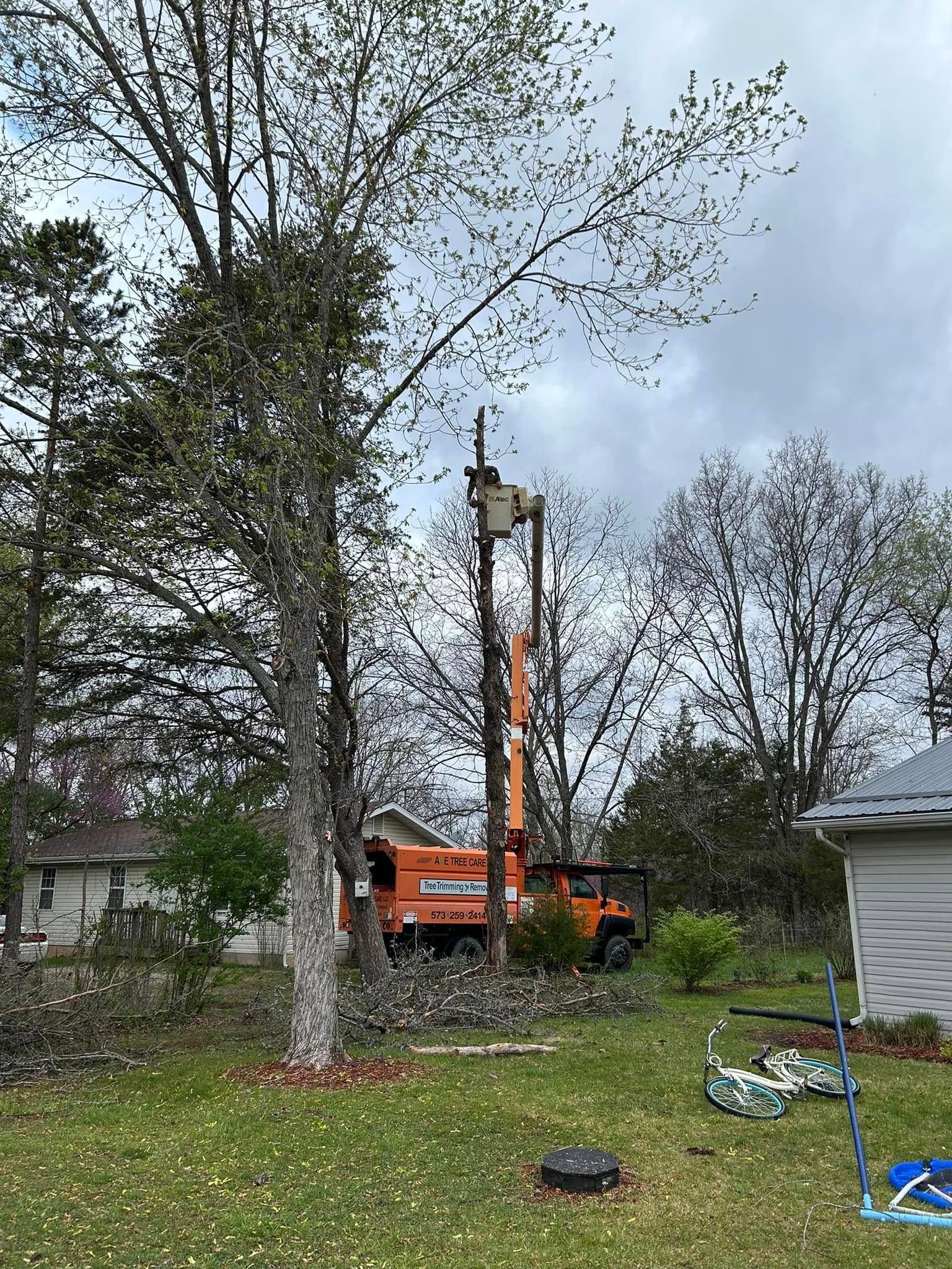 A tree being cut down by a crane in a backyard.