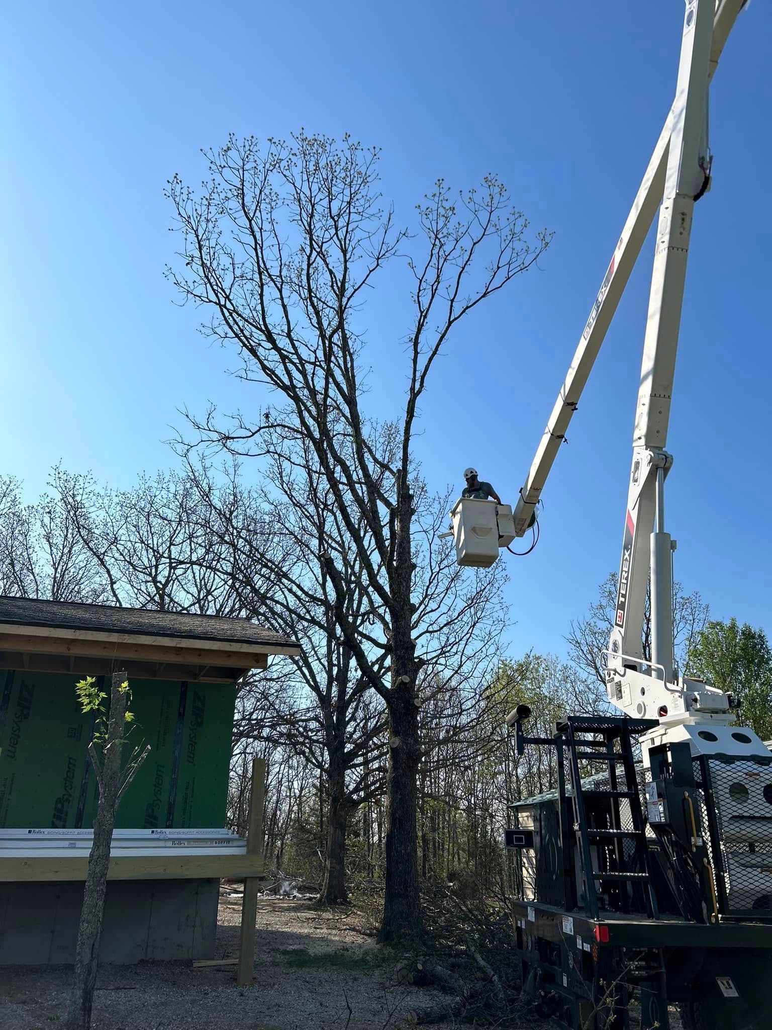A crane is cutting a tree in front of a house under construction.