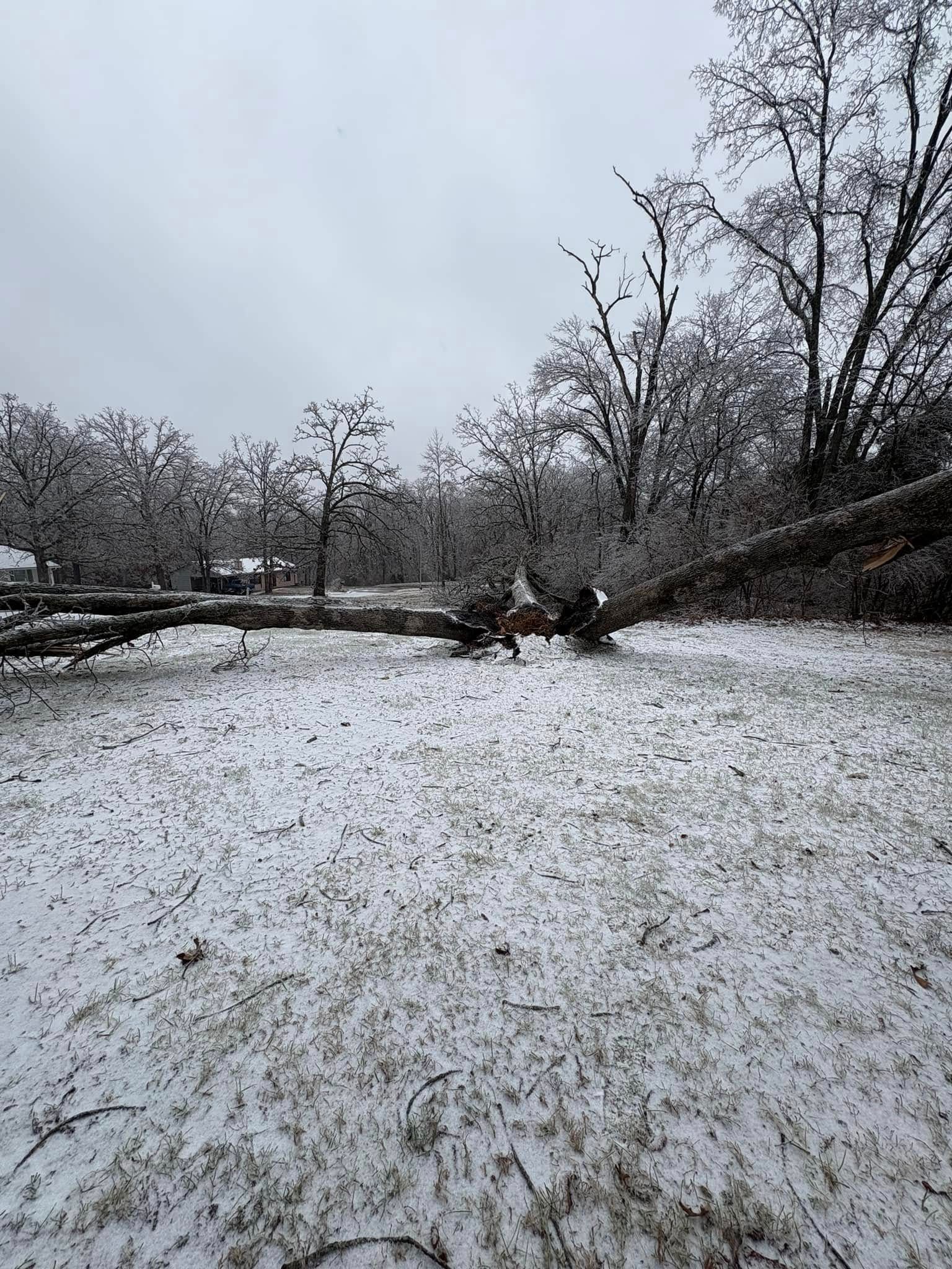 A field covered in snow with trees in the background.