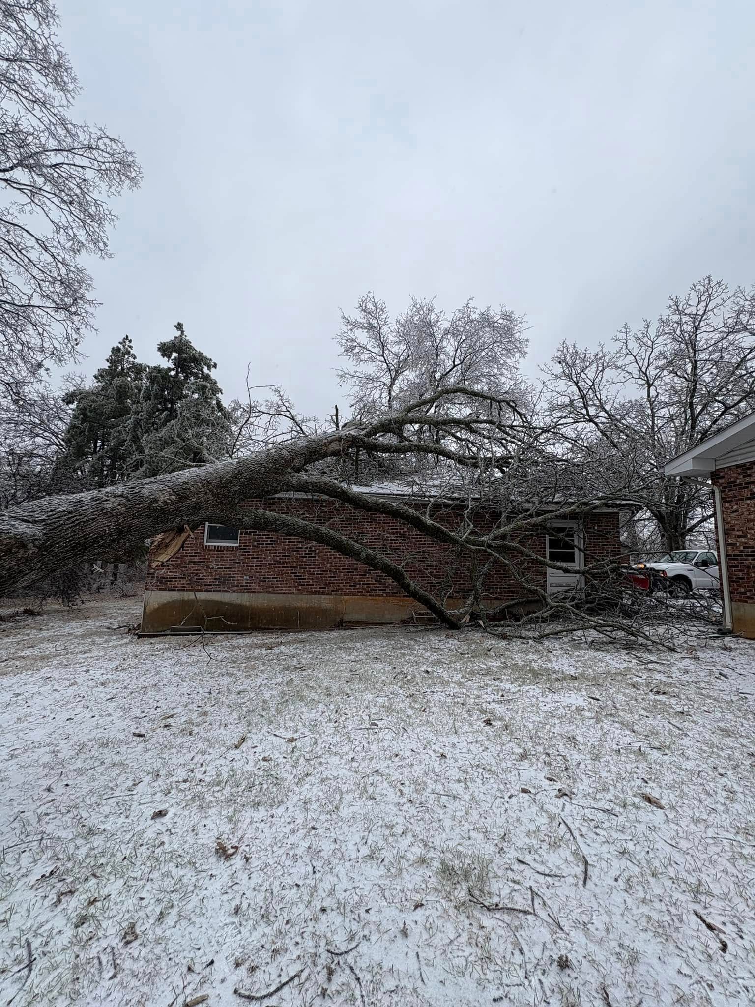 A tree has fallen on top of a brick house in the snow.
