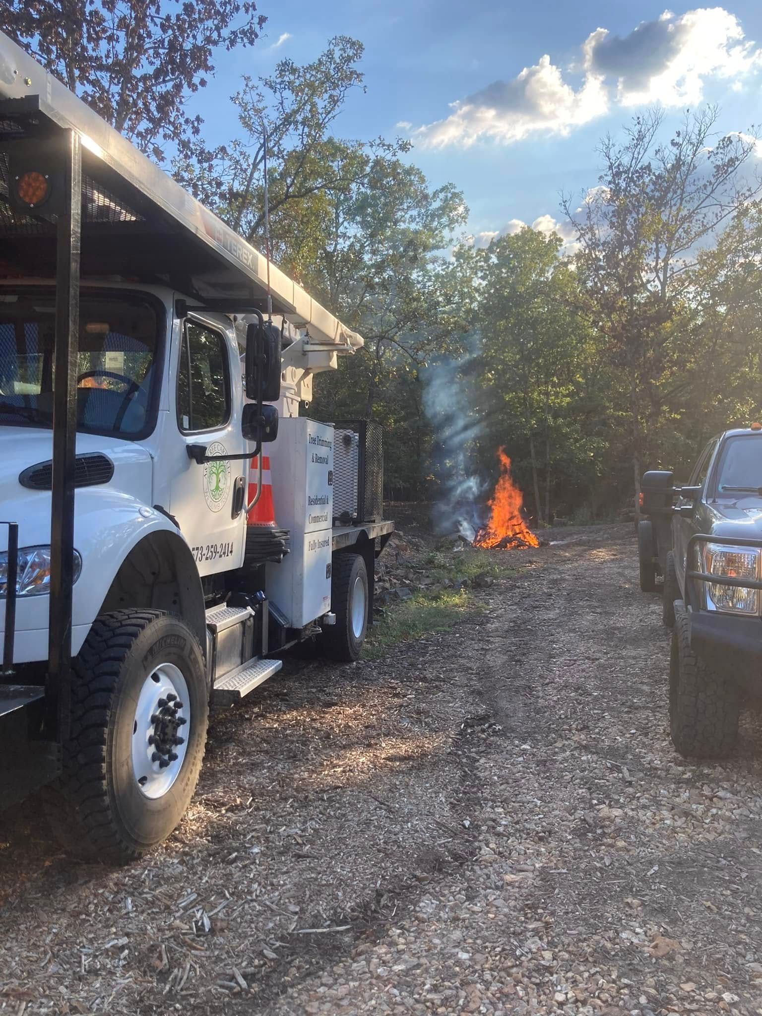 A truck is parked in front of a fire in the woods.