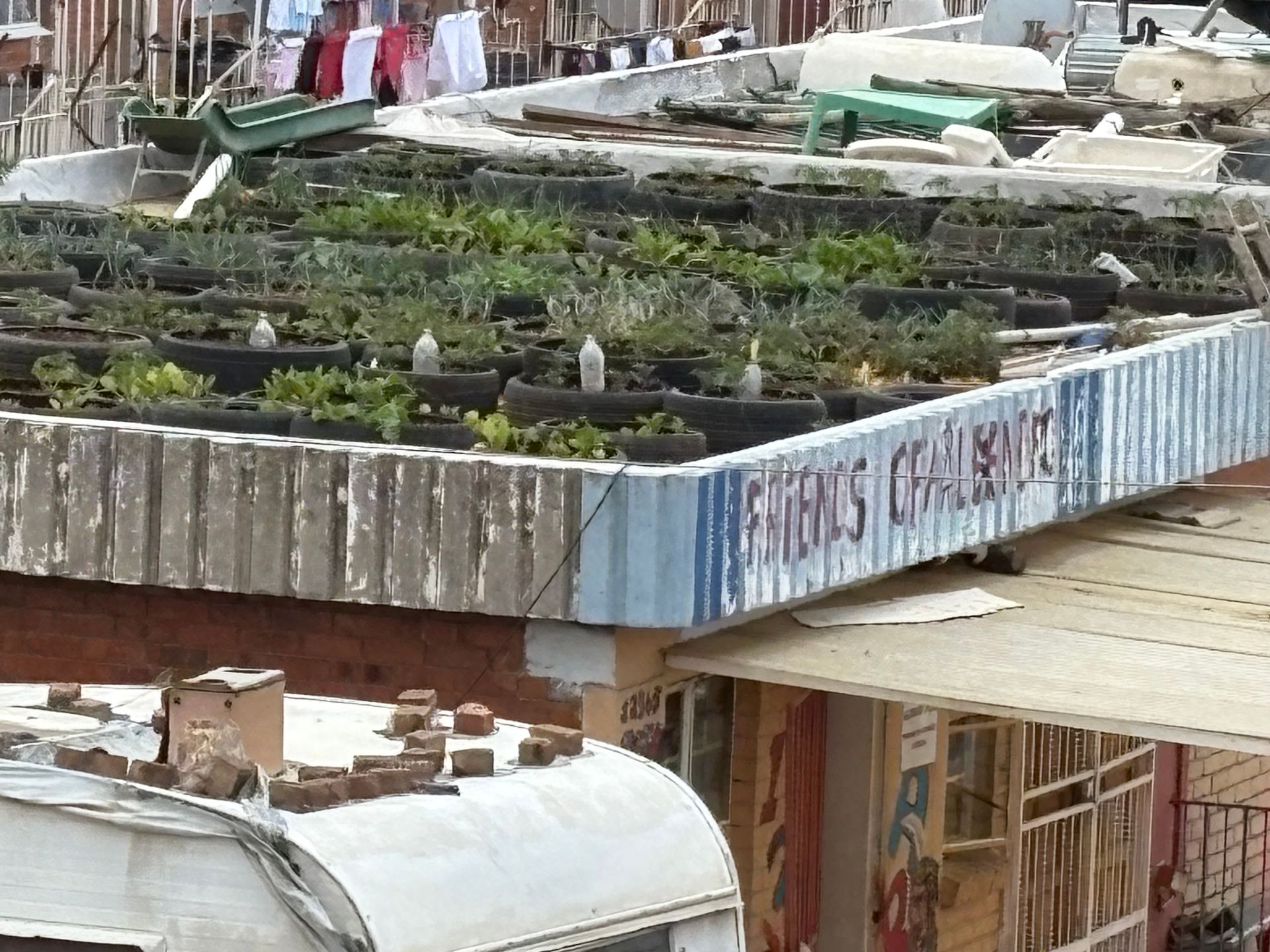 A rooftop garden with a sign that says 
