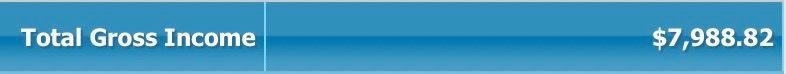 A blue background with the words total gross income on it