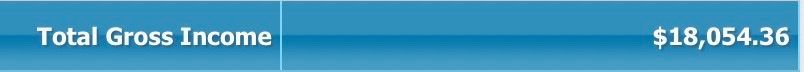 A blue background with the words total gross income on it