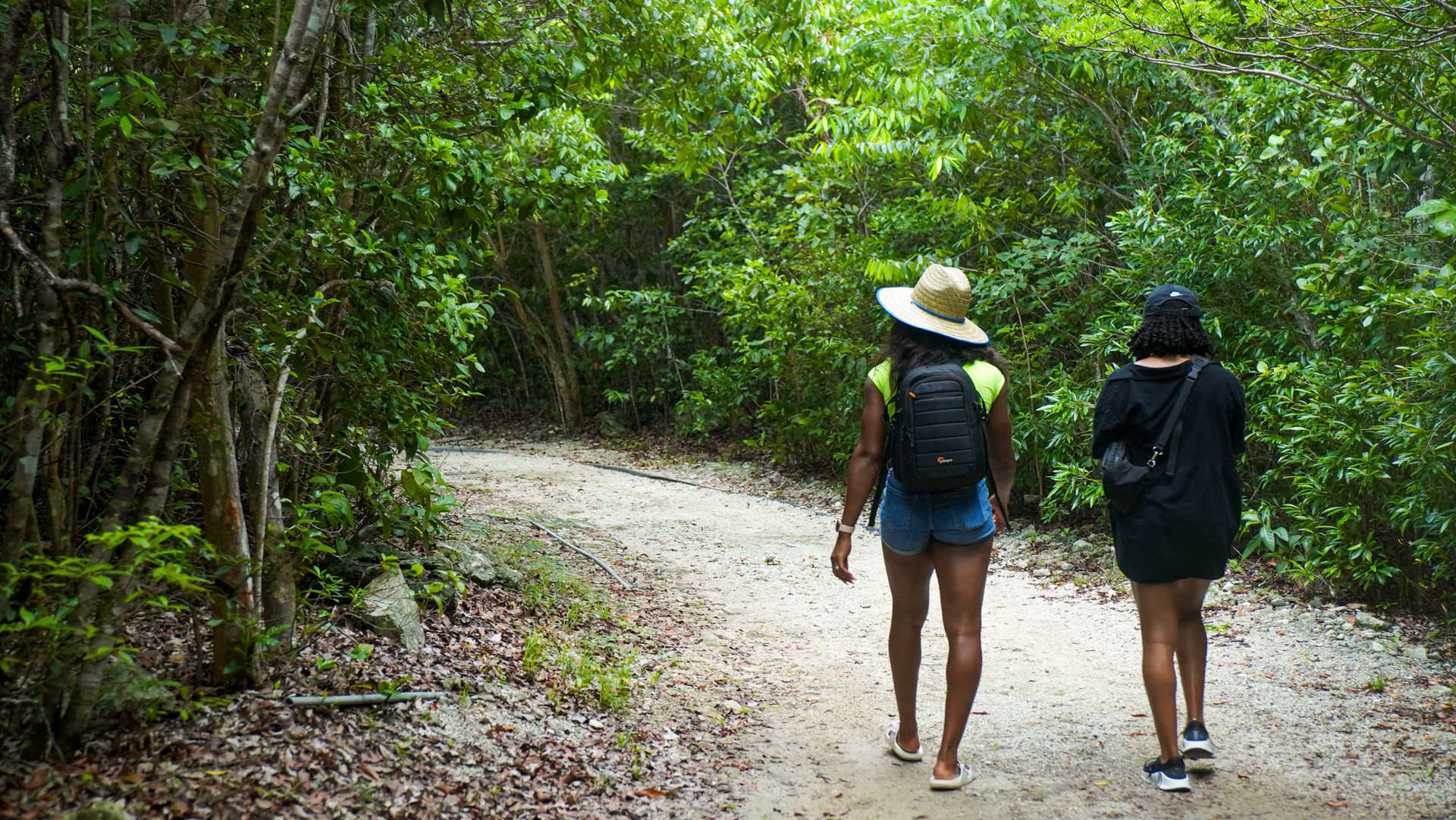 Two people walk along a dirt path through a lush green forest.