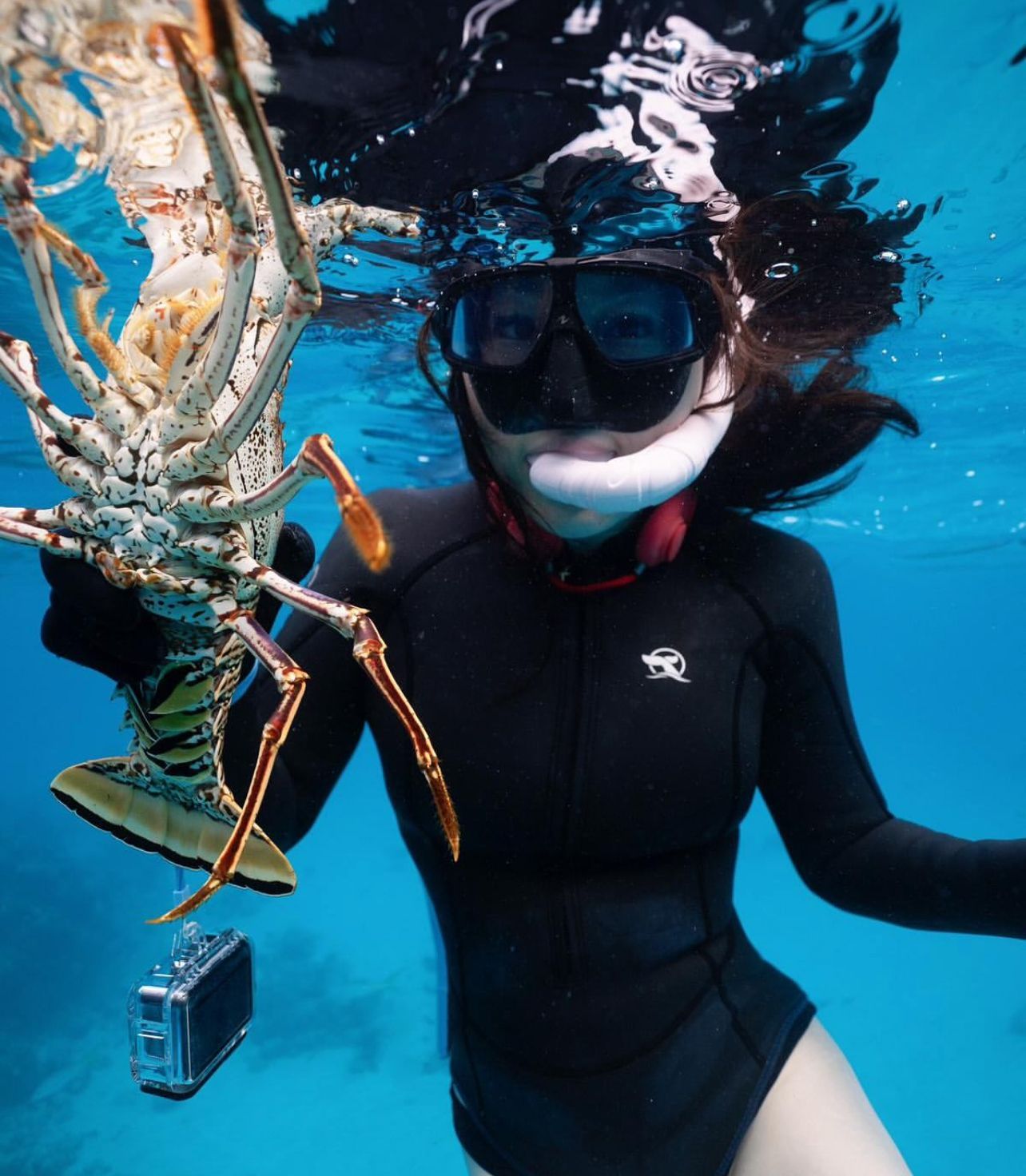 Woman in wetsuit underwater, holding a lobster with a small camera attached, in blue water.