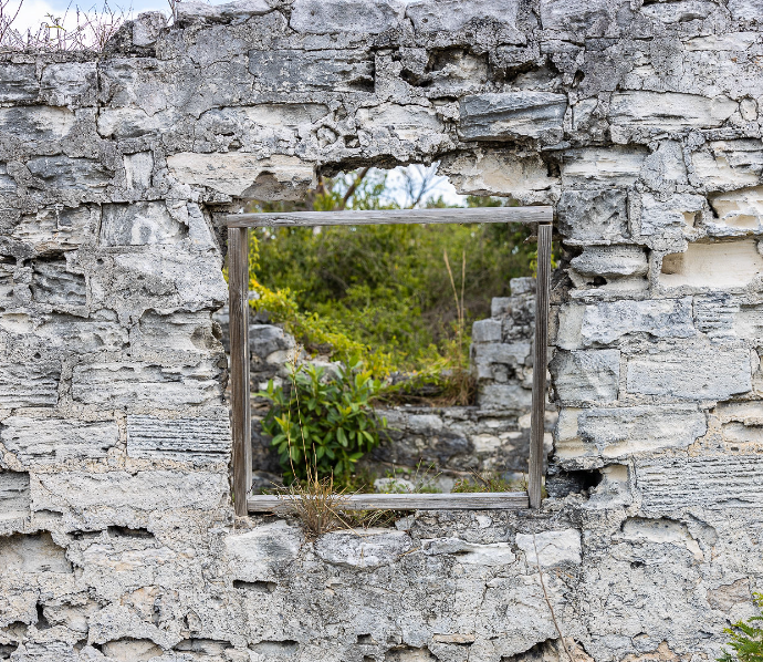 Stone wall with a window frame revealing overgrown vegetation.