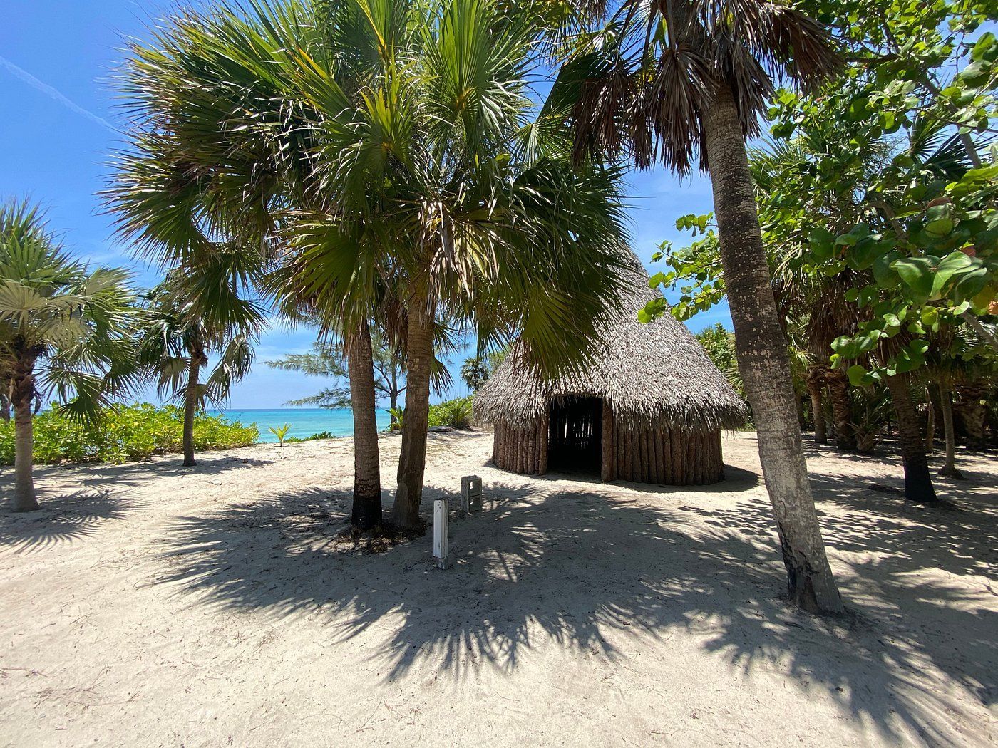 Beach scene with small thatched-roof hut nestled among palm trees and white sand. Turquoise water in background.