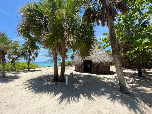Beach scene with small thatched-roof hut nestled among palm trees and white sand. Turquoise water in background.