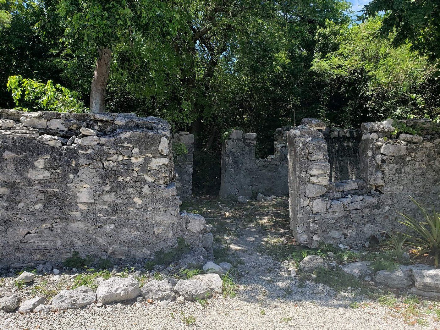 Ruined stone structure with a doorway, trees behind.