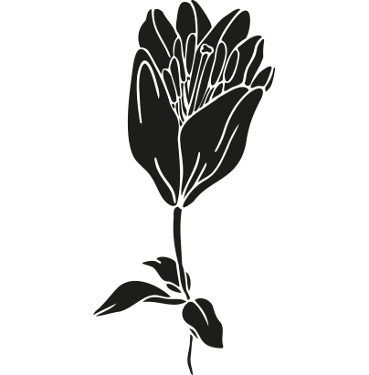 A black and white silhouette of a flower with leaves on a white background.