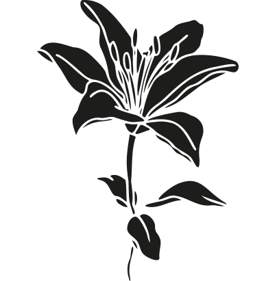 A black and white silhouette of a lily flower with leaves