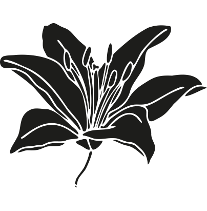 A black and white drawing of a lily flower with leaves