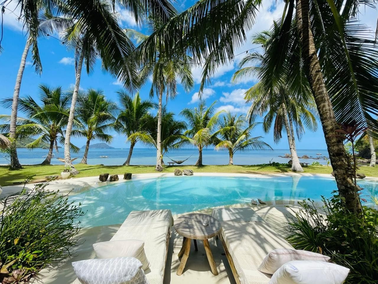 A swimming pool surrounded by palm trees next to the ocean