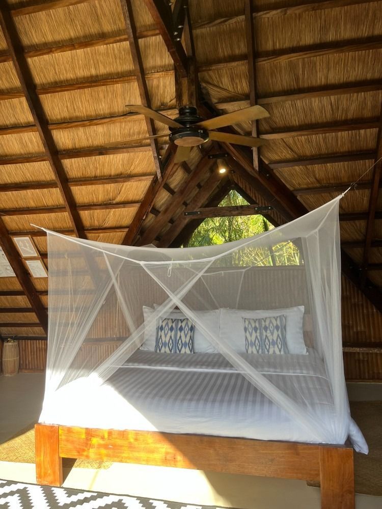 A bed with a mosquito net and a ceiling fan