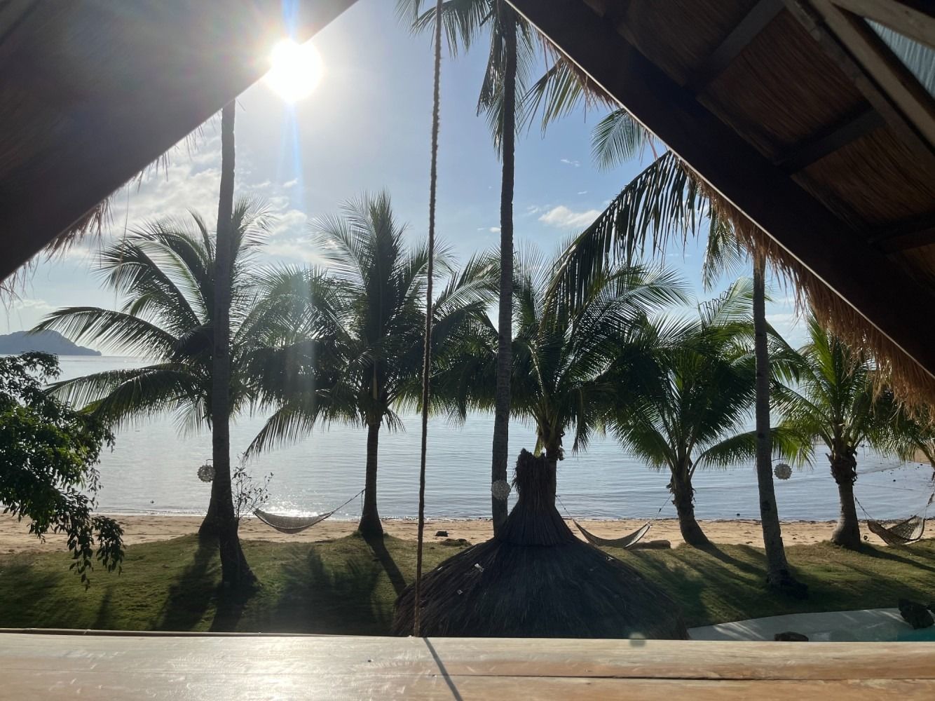 A view of palm trees and the ocean from a balcony