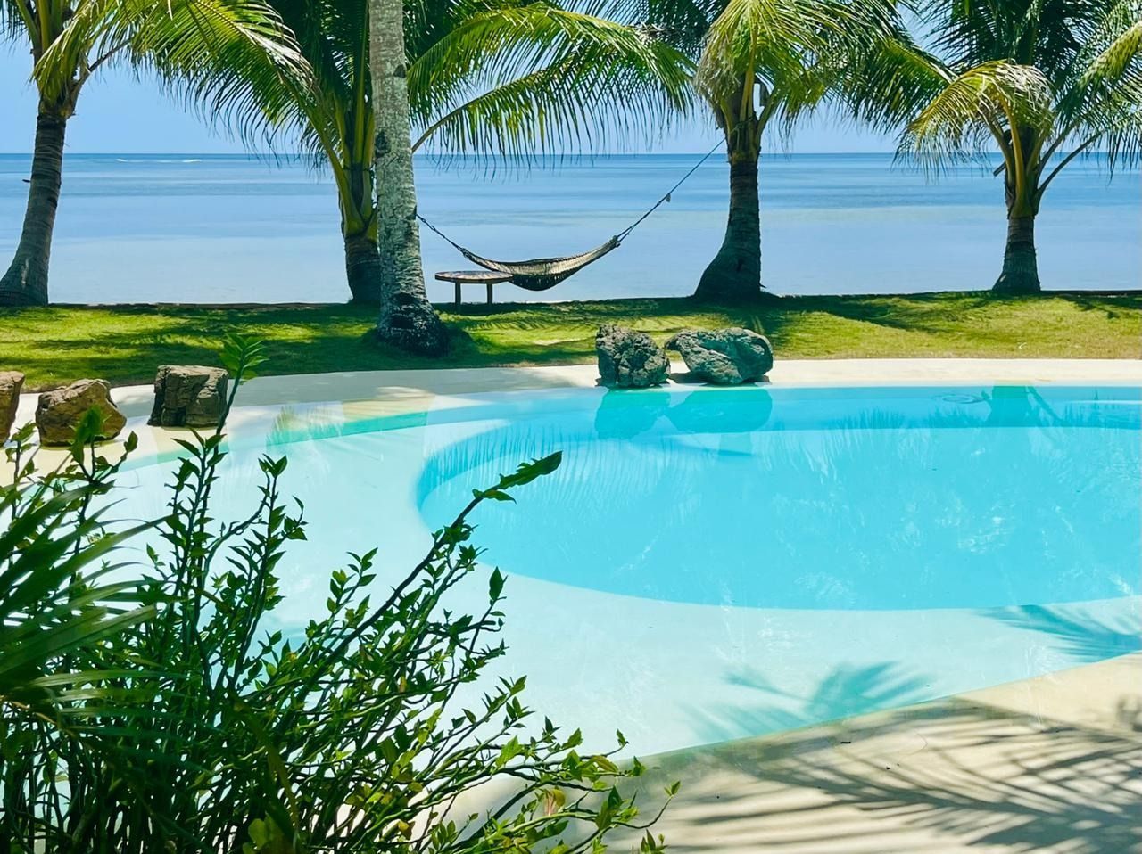 A swimming pool surrounded by palm trees and a hammock overlooking the ocean