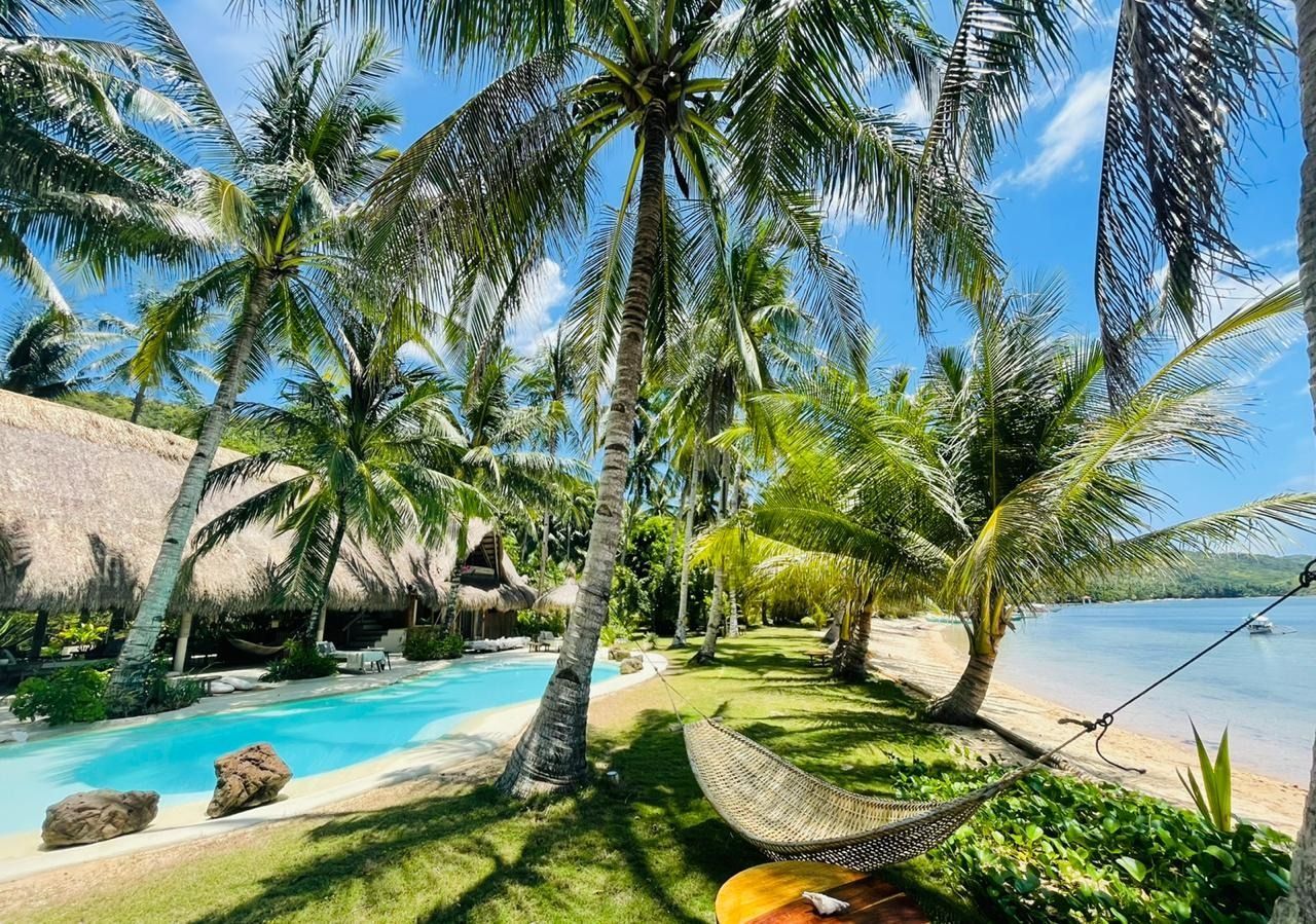 A hammock is sitting in front of a swimming pool surrounded by palm trees.